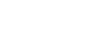VinciWorks-White-Favicon-300x163
